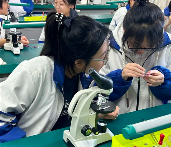 构建起网络讲堂区域教研的数字教育新生态中心节点全覆盖 构建起网络讲堂区域教研的数字教育新生态中心节点全覆盖